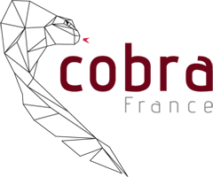 Business Club COBRA France